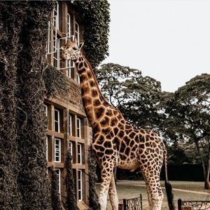 Meet your Posher, Jesi